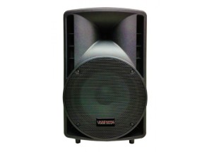 VOICE KRAFT 10PO-ZE, Tragbarer semiprofessioneller Lautsprecher Stage 120W RMS