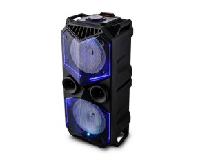 VOICE KRAFT 5100-ZG Altoparlante portatile 2x 30W RMS, LED, FM / USB / SD / Bluetooth