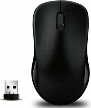 Rapoo 1620 Wireless Optical Mouse