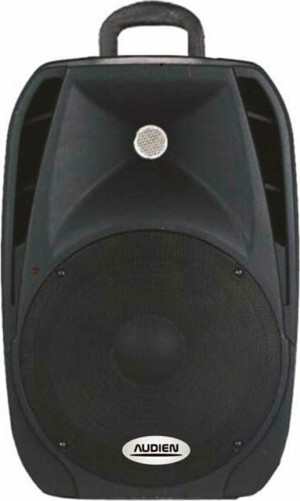 Audien SM-10108 Passive Speaker