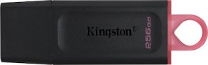 Kingston DataTraveler Exodia 256 GB USB 3.2 Stick Schwarz