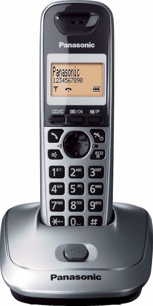 Panasonic KX-TG2511GRM Cordless Telephone with Open Listening Metallic Gray