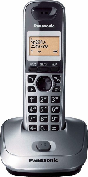 Panasonic KX-TG2511GRM Schnurlostelefon mit Lauthörfunktion, Metallic-Grau