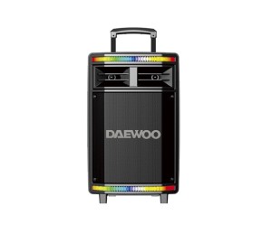 DAEWOO DSK-222 Bluetooth Tragbarer Lautsprecher 20 Watt Für Karaoke Mit Mikrofon