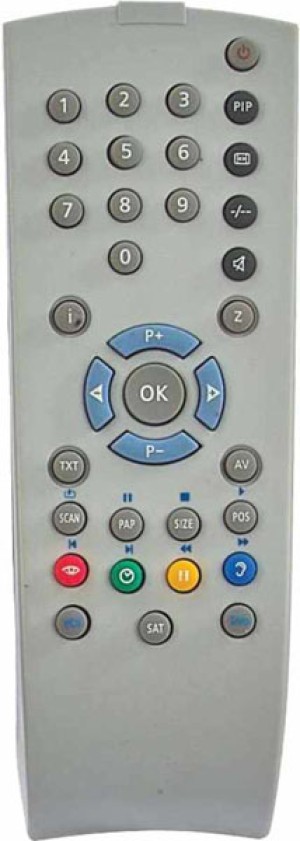 OEM, 0119, Remote control compatible with GRUNDIG TP160C