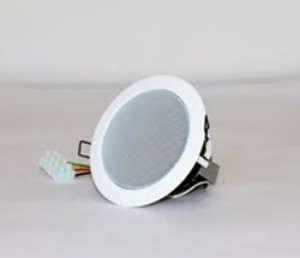 ΗΧΕΙΟ ΟΡΟΦΗΣ  6W 100V 86dB