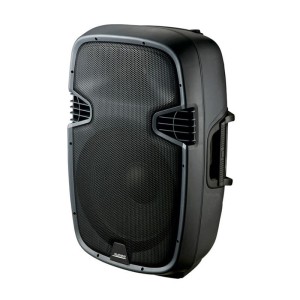 Altavoz activo AUDIEN PP-2112AUES (pieza)