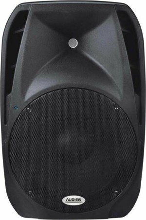 Audien - SM-12 10112 Inch Passive PA Speaker
