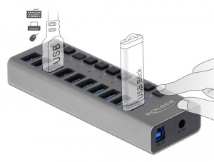 DELOCK 63670 USB hub with switches, 10x USB, 5Gbps, LED, Gray