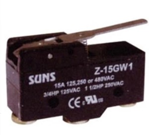 Reed Terminal Switch 15A 125/250VAC AM-1702 (Z-15GW1) SUNS