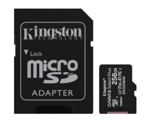Kingston SDCS2/256GB Canvas Select Plus - flash memory card