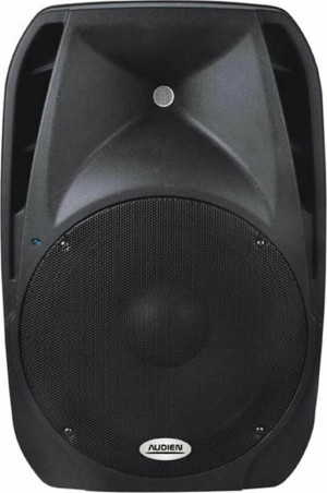 Audien Passivlautsprecher PA SM-10115 200 W mit Woofer 15 in schwarzer Farbe