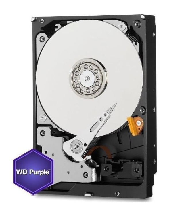 Western Digital Purple 1TB (WD10PURZ) HDD di sorveglianza 24/7 per DVR/NVR