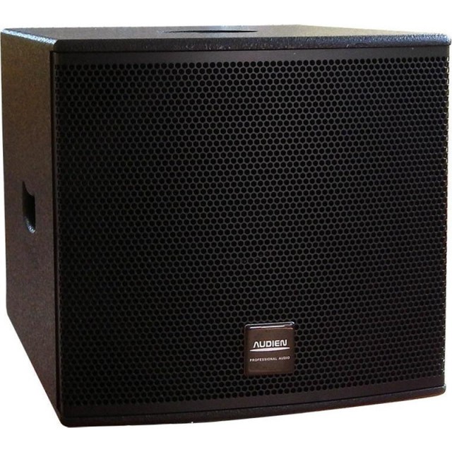 AUDIEN L-12SUB Passiver Subwoofer