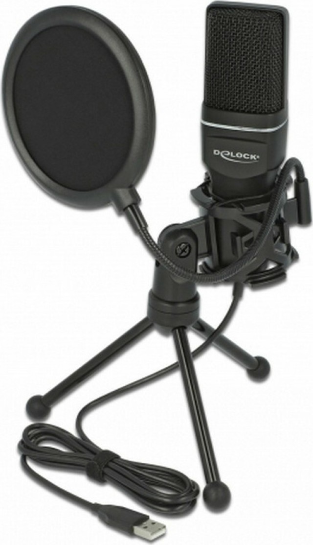 DELOCK Micrófono de estudio con filtro pop y deflector de viento 66331, condensador, USB