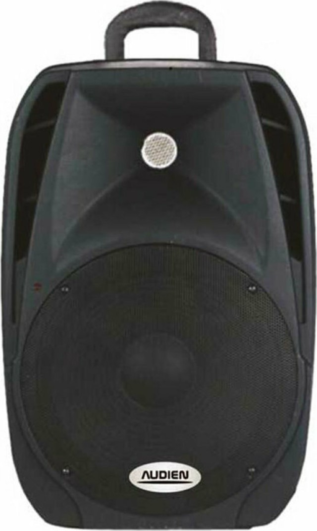 Altavoz pasivo Audien SM-10108