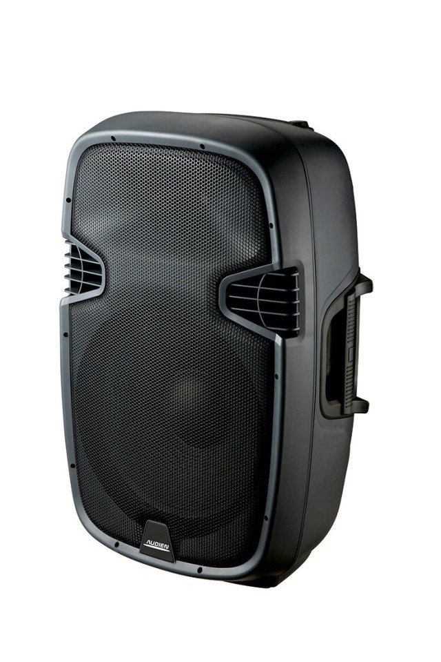 Audien PP-2115 Παθητικό Ηχείο PA 150W με Woofer 15''