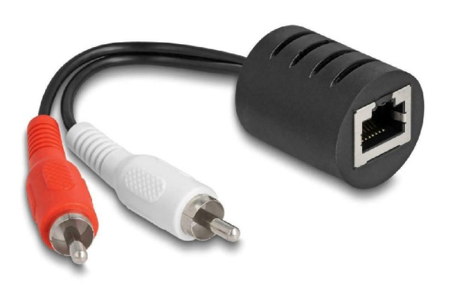 DeLock Audio-Extender 87857 RCA zu RCA, über RJ45-Kabel, bis zu 50 m