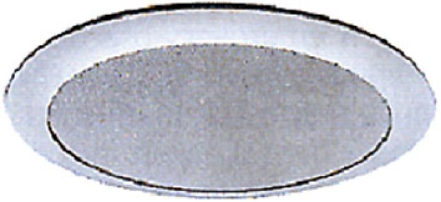ΗΧΕΙΟ ΟΡΟΦΗΣ  6W 100V 90dB