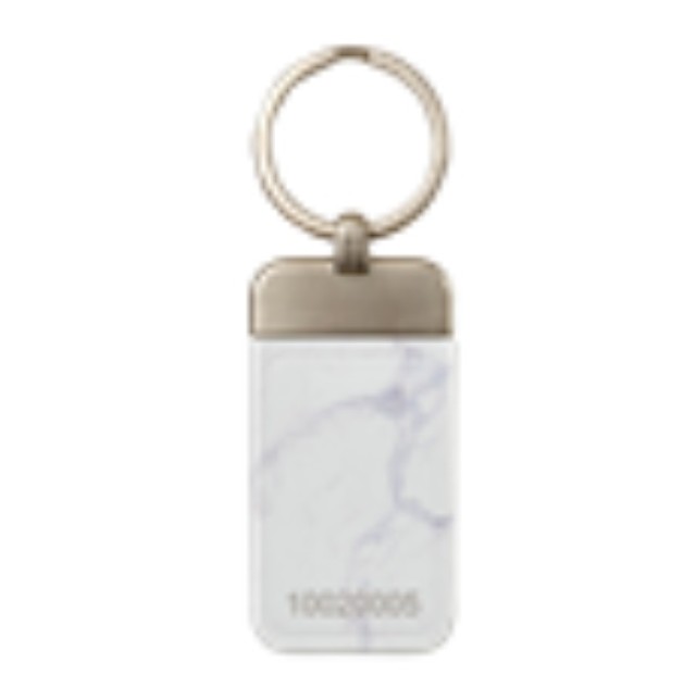 CADDX NXG-1804 TAG KEYRING COMBINED WITH NXG-1832/1833 KEYPAD