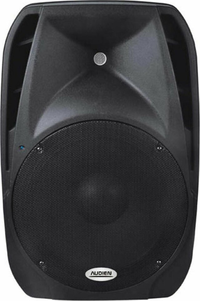 Audien Passivlautsprecher PA SM-10115 200W mit Woofer 15